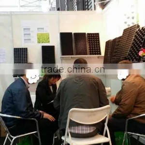 32/45/50/72/98/104/105/128/200/288/406/512 Cells Plastic Nursery Seed Tray / Plastic Seedling Tray thumbnail-4