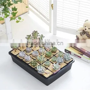 Plastic 24 Divided Plant Flower Pots thumbnail-1