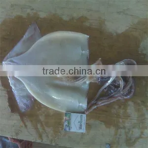 Baby Squid and Frozen Cooking Seafood Importers thumbnail-1