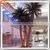 Wholesale Indoor Decorative Metal Plastic Artificial Palm Trees Canada Palm Tree For Sale thumbnail-2