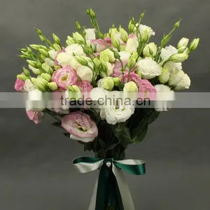Colorful New Arriving Varieties of Fresh Cut Flower Eustoma thumbnail-6
