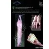 Sell Lamb Mutton Products thumbnail-1