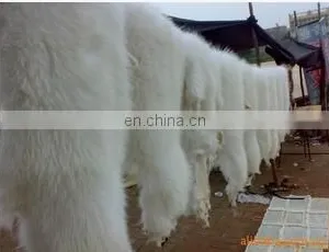White Raccoon Fur Skin, Fur Skin for Women's Clothing, Raccoon Fur Skin for Garment thumbnail-2