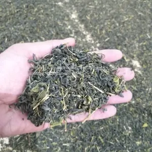 Supply of Green Tea, Coarse Tea, Pearl Tea, Mass Tea, Large Leaf Tea, Suitable for Hotels and Guesthouses to Drink Ai'e Awdiaec Selenium Rich Tea thumbnail-1