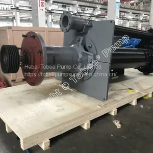 China SPR Rubber Lined Vertical Cantilever Slurry Pump thumbnail-4