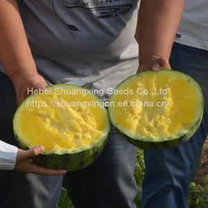 Good Quality f1 Hybrid Yellow Watermelon Seeds for Growing thumbnail-4