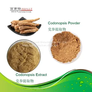 Codonopsis thumbnail-1