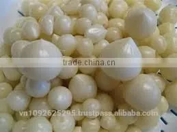 FRESH SINGLE CLOVE GARLIC thumbnail-3
