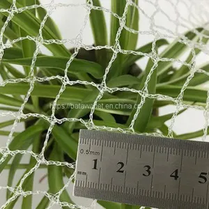 Knitted 30gsm New Material HDPE Diamond Bird Netting for Agriculture thumbnail-4