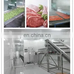 Cauliflower/broccoli Vegetable Quick Freezing Iqf Tunnel Freezer Equipment/iqf Machine thumbnail-2