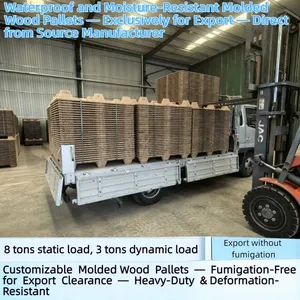 Food and Pharmaceutical Grade Molded Wood Pallets — Nail-Free, Splinter-Free, Safe, and Eco-Friendly thumbnail-4