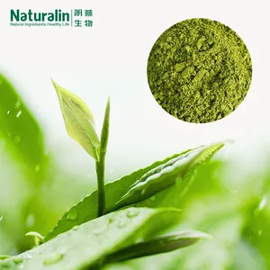 Matcha Tea Powder thumbnail-5