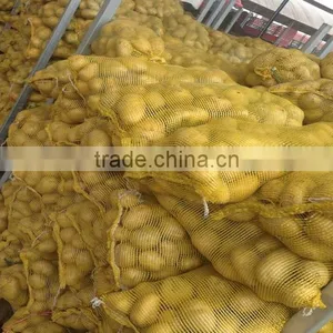 Fresh Yellow Potato From New Crop ( China Origin) thumbnail-3