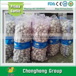 Normal White Garlic 4 cm With Lowest Price for Vietnam Market thumbnail-1