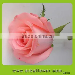 Color Pink Rose Fresh Floral Arrangements thumbnail-2