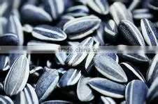 Sun Flower Seed 5009 From China thumbnail-1