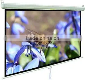 Projector Screens / Manual Projector Screens thumbnail-1