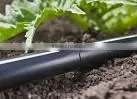 Agriculture Irrigation Drip Hose thumbnail-1
