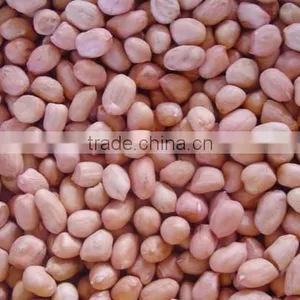 Peanut Kernel thumbnail-1