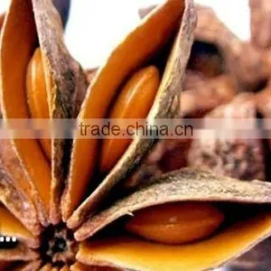Aniseed thumbnail-1