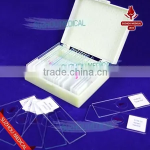 Lab Accessories Microbiology Bacteria Prepared Slides thumbnail-1