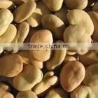 Broad Beans thumbnail-1