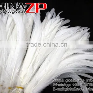 NO.1 Supplier ZPDECOR Best Selling Bleached White Fully Dyed Roosters Chicken Feathers thumbnail-4