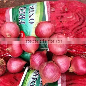 Fresh Organic Red Onion for Sale thumbnail-4
