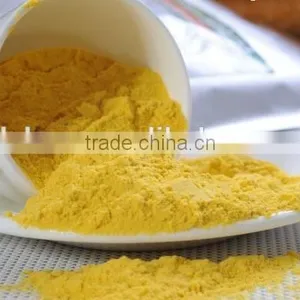 100% Natural Instant Vegetables AD Dehydrated Pumpkin Powder thumbnail-1