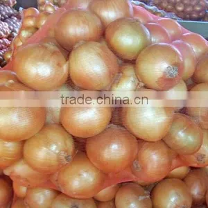 Fresh Yellow Onion thumbnail-1