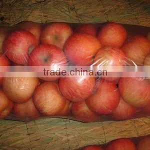 Fuji Apple thumbnail-1