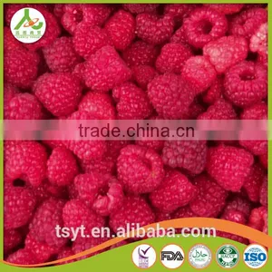Golden Supplier of Top Quality IQF Frozen Raspberry thumbnail-4