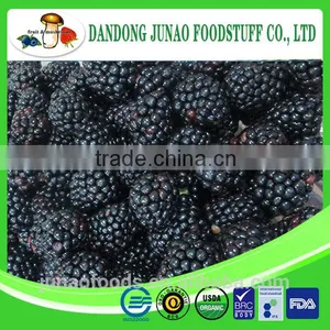 Berries Product Frozen Blackberry Grade A thumbnail-1