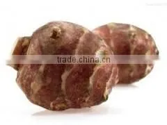 GMP Natural High Quality Chicory Extract Inulin thumbnail-2