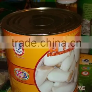 Canned Pleurotus Eryngii thumbnail-2