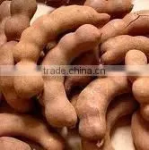 Tamarind thumbnail-1