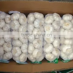 Exported Chinese 2015 New Crop Fresh Natural White Garlic 5 CM thumbnail-2