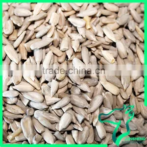High Grade 2016 Sunflower Seeds Kernel On Sale thumbnail-1