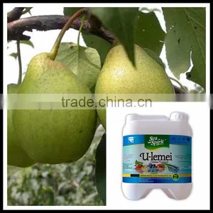 Chitosan Bio Botanical Organic Fungicide thumbnail-1