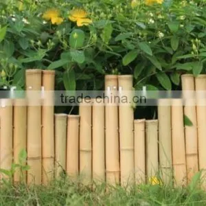 FD70301 Newest Styles of Bamboo Fence thumbnail-4