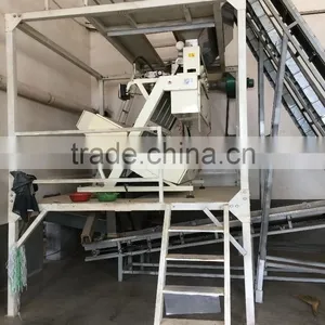 Peanut Grading / Sorting Machine Nut Fruit Grading / Sorting Machine thumbnail-5