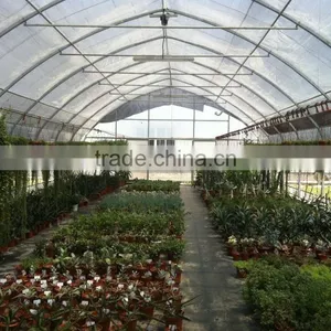 Greenhouse With Outside Shading System thumbnail-2