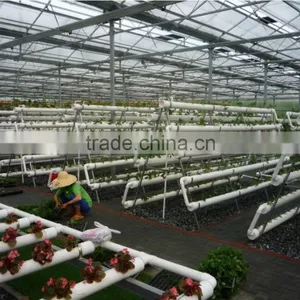 Customber Design Hydroponic System thumbnail-2
