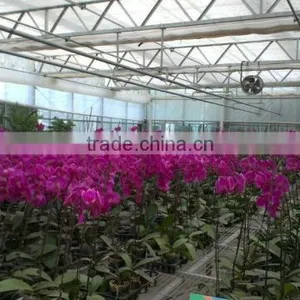 Flower Greenhouse thumbnail-5