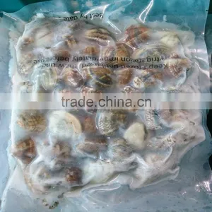 FROZEN SHORT NECKED CLAMS thumbnail-1