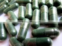 Organic Spirulina Capsules for Bulk Export thumbnail-1