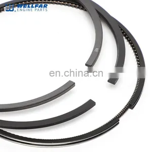 VT365 Engine Parts Wellfar Piston Rings Set 114mm For Navistar Engine thumbnail-2