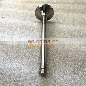 Hot Product SINOTRUK HOWO Truck D12 Engine Assembly VG1246050021/22 Intake And Exhaust Valve thumbnail-1