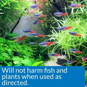 Fish Pond Algaecide for Koi Fish Ponds/Tank Polyquaternium-42 Algae Removal Chemicals Cleaning Care 31512-74-0 thumbnail-3