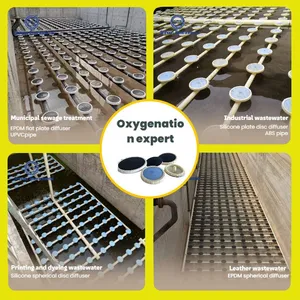 Fine Bubble Disc Diffuser Diffuser for Municipal Wastewater Treatment thumbnail-1